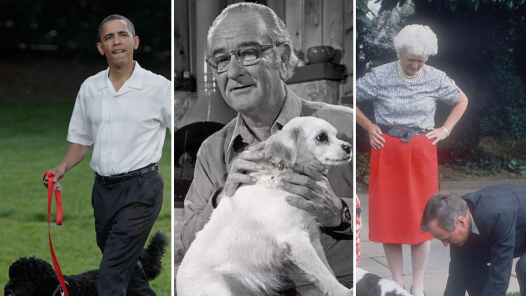 1109-presidential-pups-footer-2