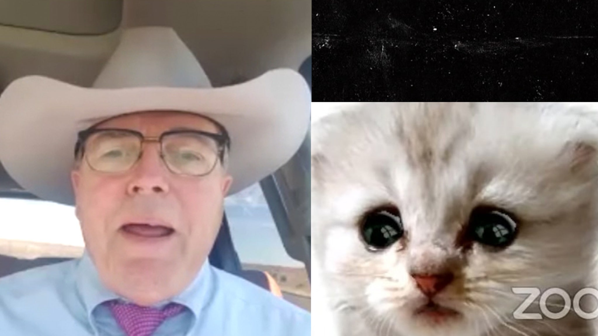 Zoom Cat Lawyer Says He S No Longer Embarrassed Wants To Sell Merch