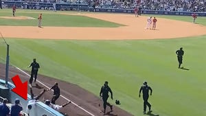 MLB Fan Leveled By L.A. Dodgers Ball Girl After Running Onto Field