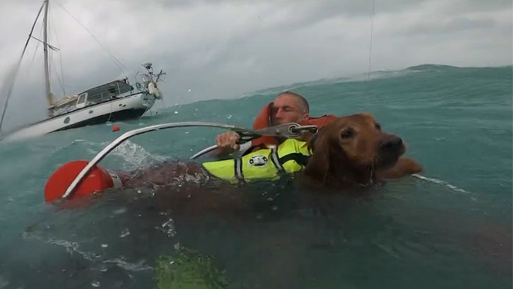 U.S. Coast Guard Saves Man, Dog in Dramatic Video After Hurricane Damages Boat