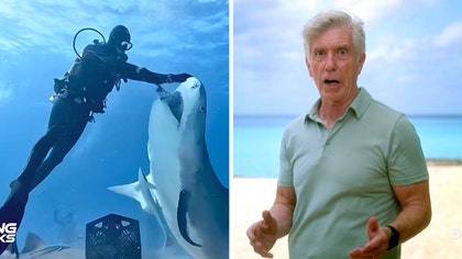 dancing-with-sharks-kal-07-18-2025