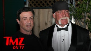 hulk-sly-tmz-tv