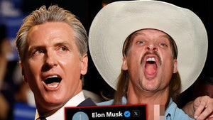 gavin newsom kid rock elon musk main getty x composite