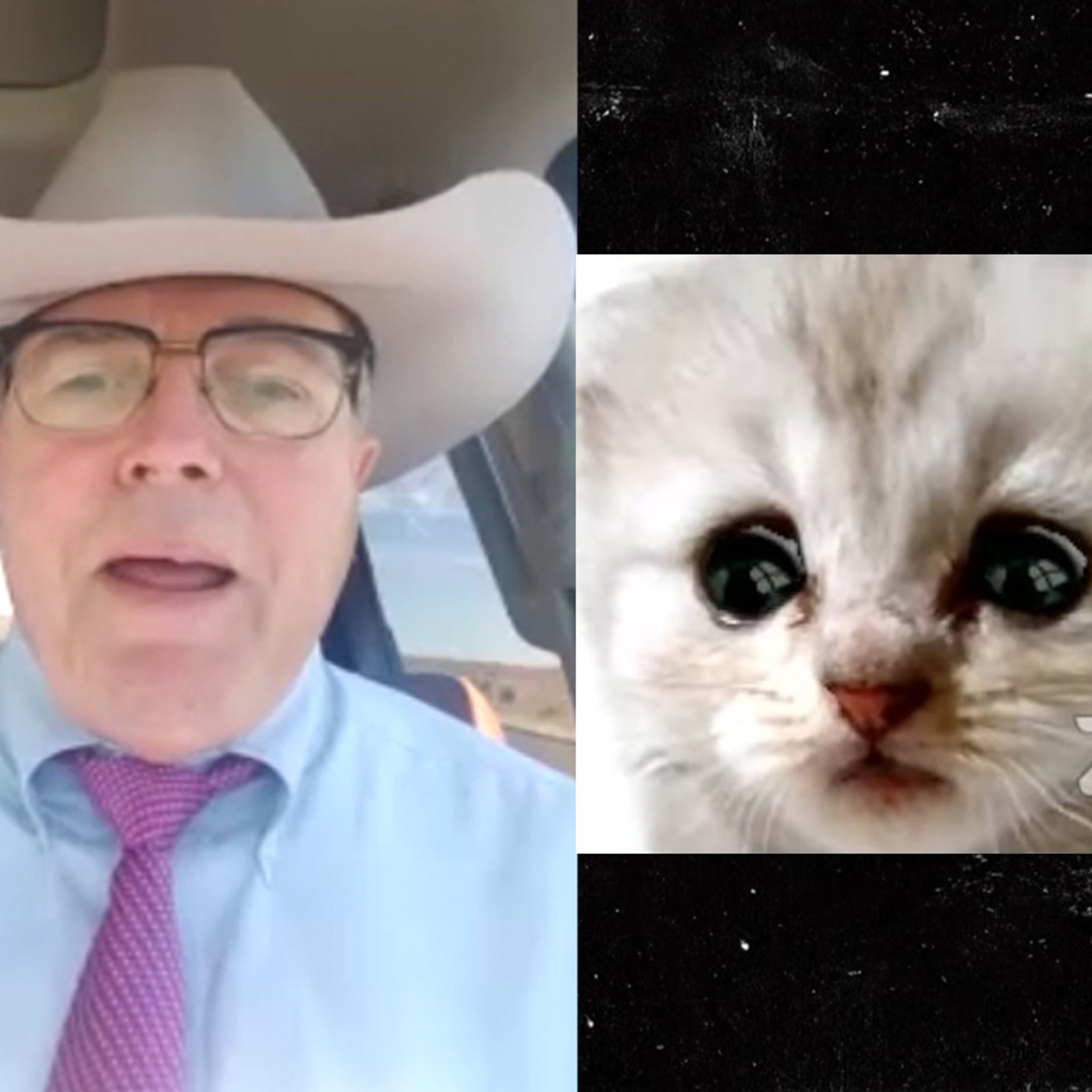 Zoom Cat Lawyer Says He S No Longer Embarrassed Wants To Sell Merch