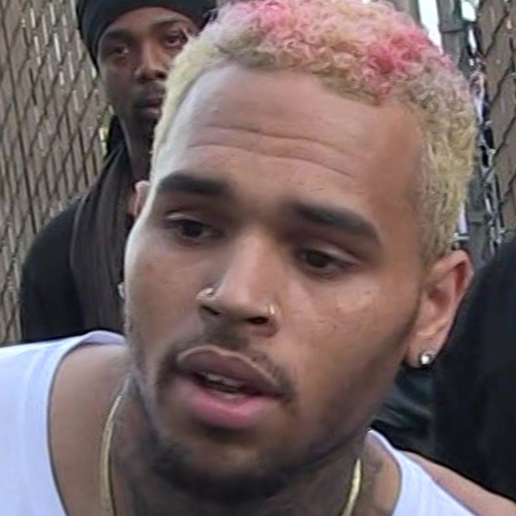 Chris Brown Sued By Housekeeper Claiming Vicious Dog Attack