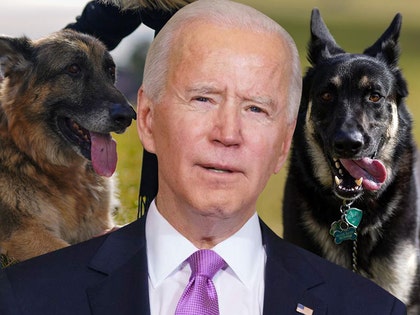 0323-biden-dogs-getty-ig1