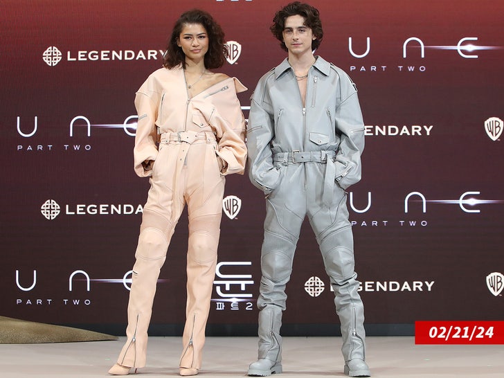 zendaya timothee chalamet sub