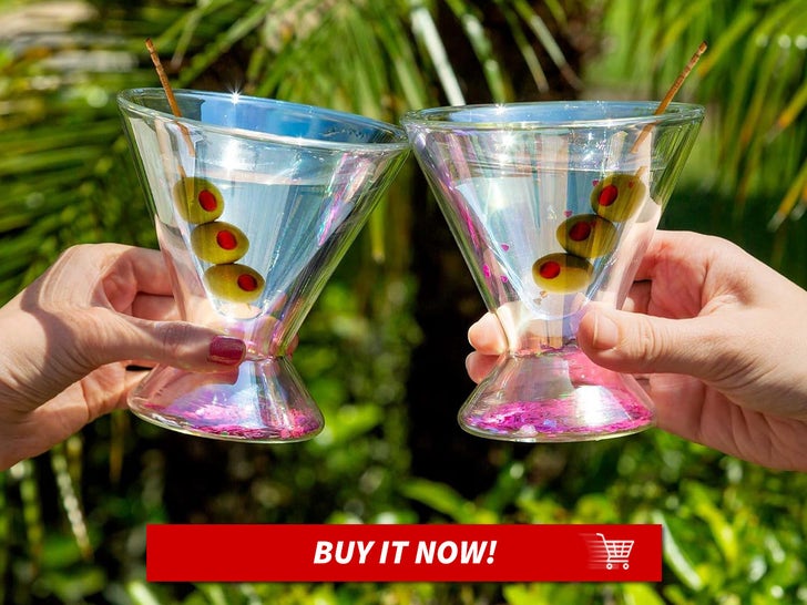 _Paris-Hilton-2-Piece-Martini-Glass-Set-MAIN