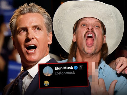 gavin newsom kid rock elon musk main getty x composite