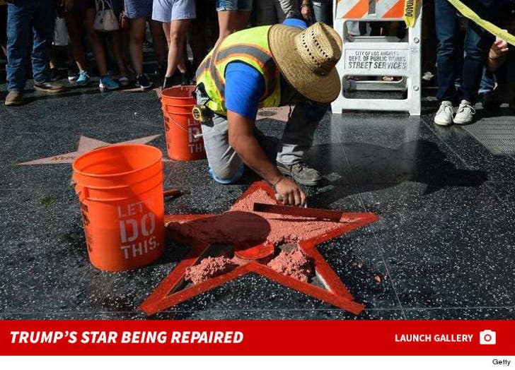 Donald Trump's Hollywood Star -- All Fixed Up