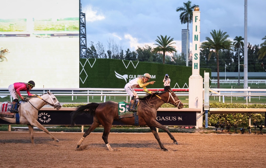 Pegasus World Cup 31