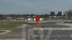 Harrison Ford, VIDEO of Taxiway Landing (VIDEO)