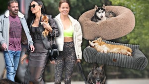 Amazon-National-Dog-Day-Deals-PRIMARY