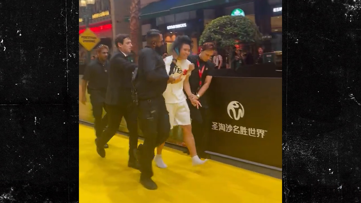 111325 wicked premiere security kal.jpg