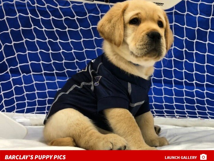 St. Louis Blues' adopted puppy a hit during Thursday's practice