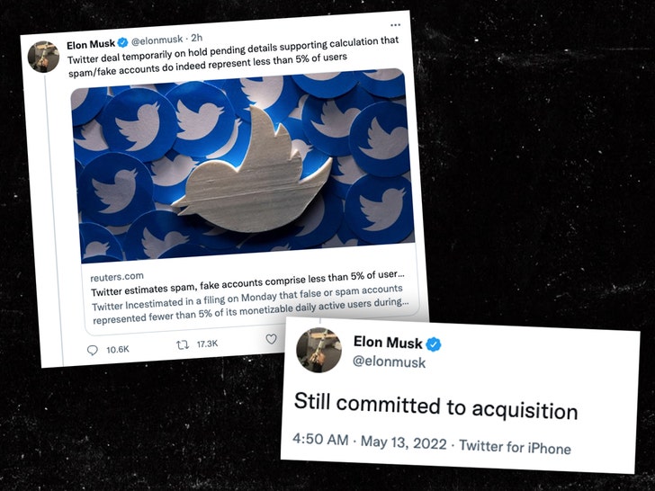 Twitter, Elon Musk'a Satın Almadan Döndüğü İçin Dava Açtı