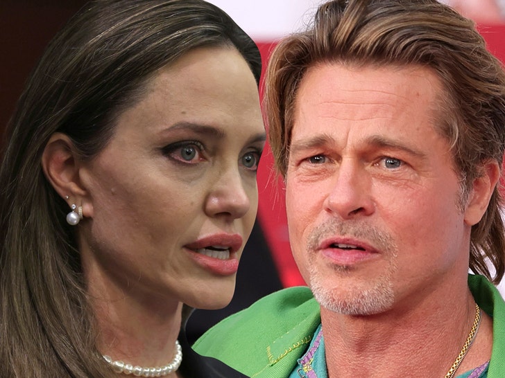 Angelina Jolie Behind FBI Lawsuit Against Brad Pitt, Brad Sources Call BS.jpg
