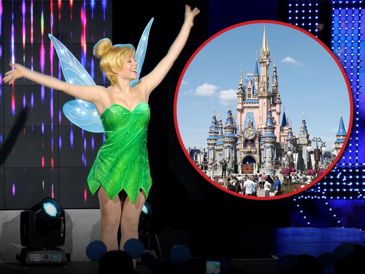 Tinker Bell Not Canceled, Still at Disney Park Appearances Despite Reports