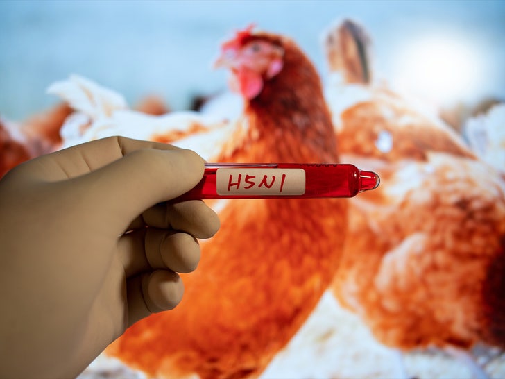 bird flu stock graphic sub