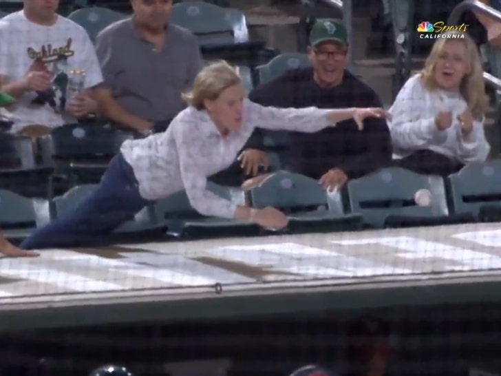 fan-diving-3-06-05-2025