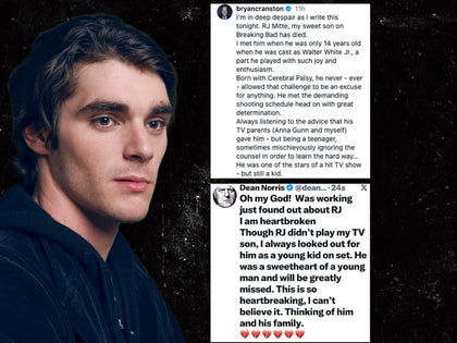1013-RJ-Mitte-Reactions-PRIMARY