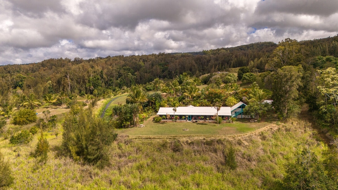 Roseanne Barr Home 6