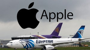 Apple Sued by Families of Those Killed on EgyptAir Flight 804 for Alleged Fiery Phone