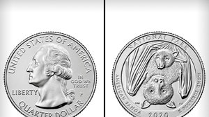 2020 U.S. Quarters Have Bats on Them, Worst Timing Ever