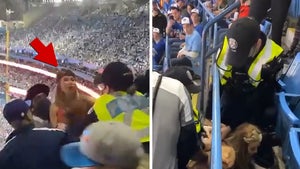 MLB Fan Arrested After Punching Cop During Blue Jays Game