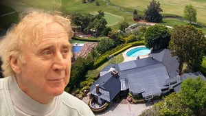 Gene Wilder With His Bel Air Home Aerial