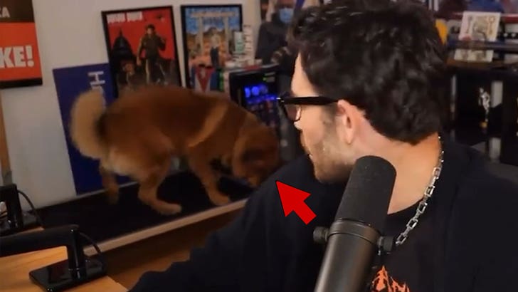 101625_hasan_abi_piker_dog_incident_kal