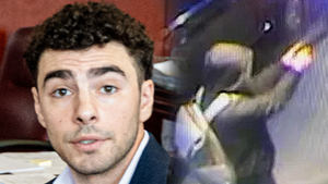 main luigi mangione suspect getty composite