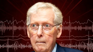 mitch-mcconnell-audio-3