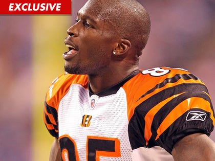 0728_chad_Ochocinco_ex