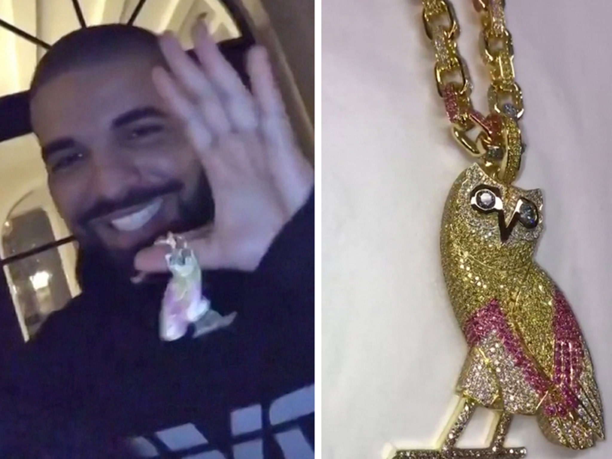 Drake Buys New $120k OVO Chain