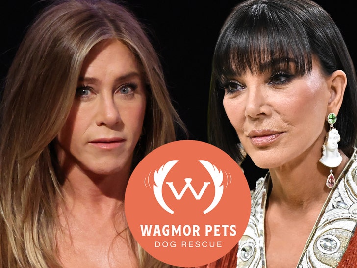 jennifer aniston kris jenner pet resue getty