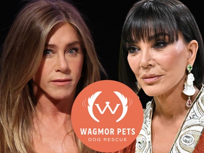 jennifer aniston kris jenner pet resue getty