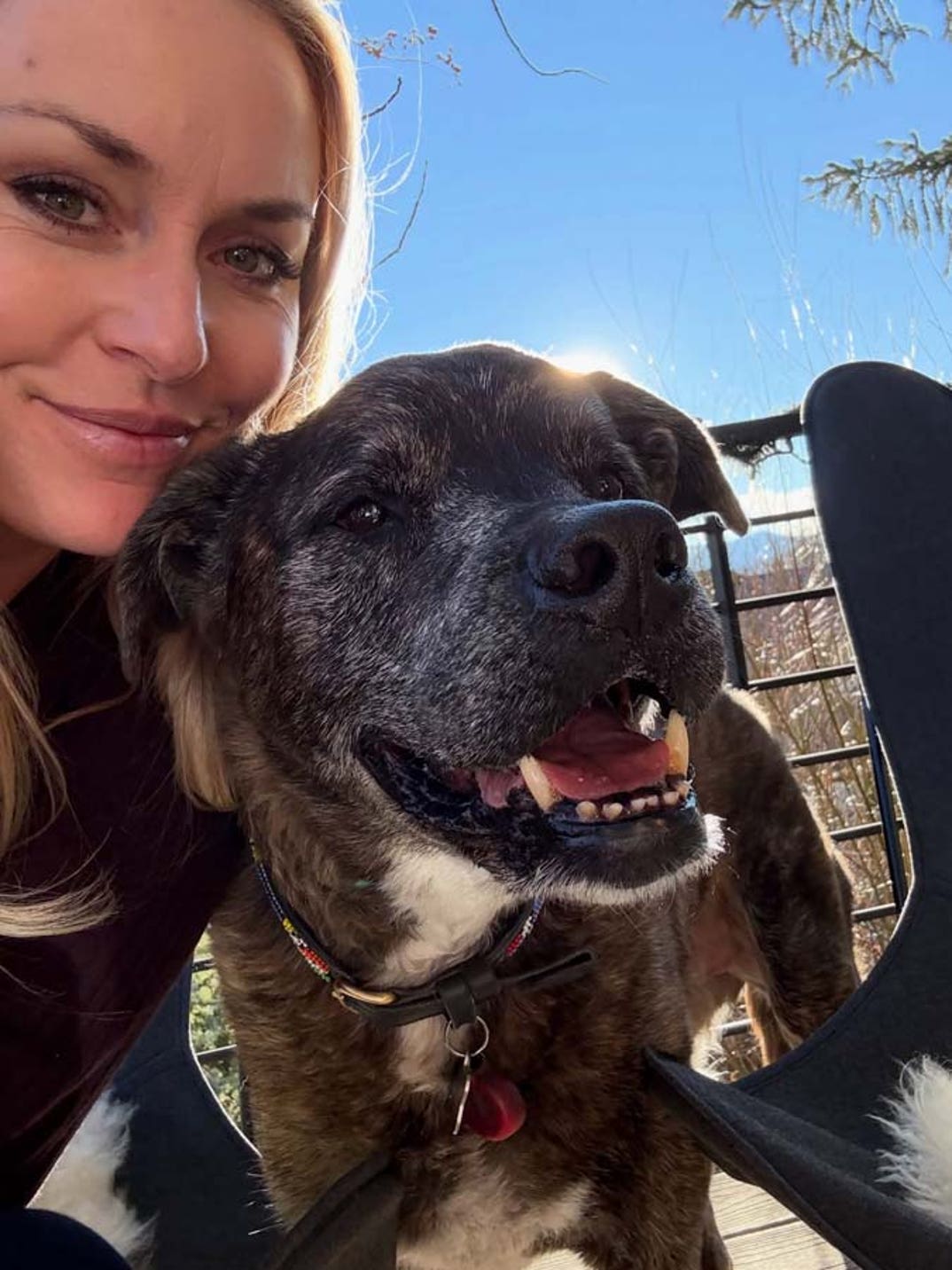 Lindsey Vonn dog