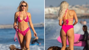 WWE Superstar Lana's Dogging it at the Beach in Pink Bikini