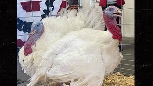 Trump First Lame-Duck Pardon Saves Turkey From Death