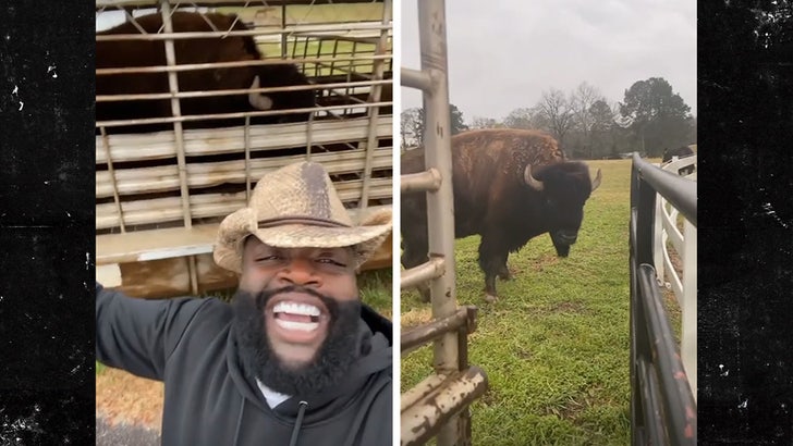 Rick Ross' Buffaloes Are Roaming and Pissing Off His Neighbor