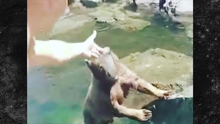 Dallas Cowboys' Leighton Vander Esch Feeds Wild Bear On Fishing Trip