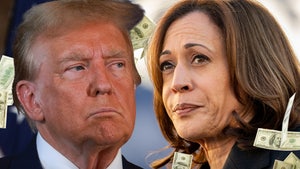 donald trump kamala harris check main