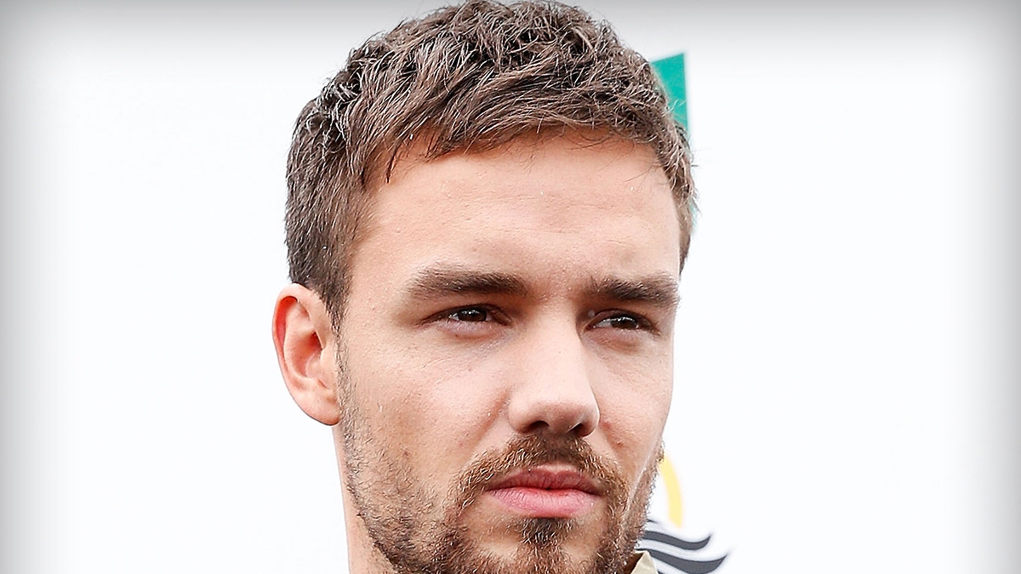 Liam Payne's Alcohol Percentage at Time of His Death Revealed