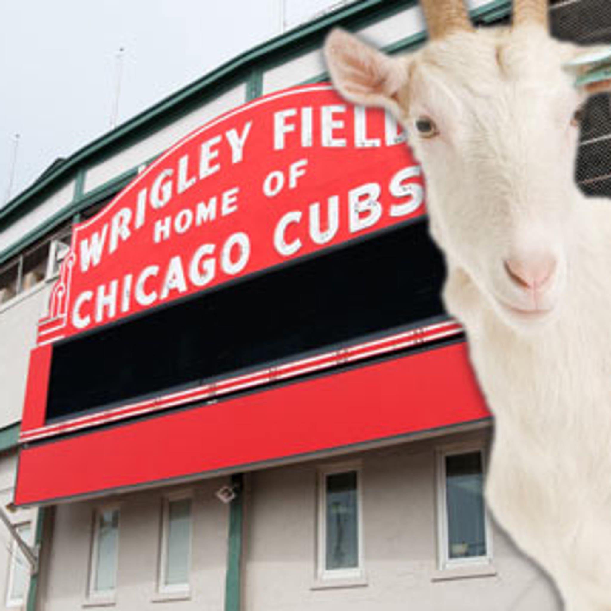 The Chicago Cubs, the Goat Curse and the Psychological Roots of