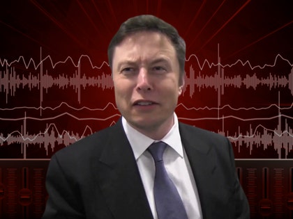 0331-elon-musk-audio-art-tmz-mobile-03