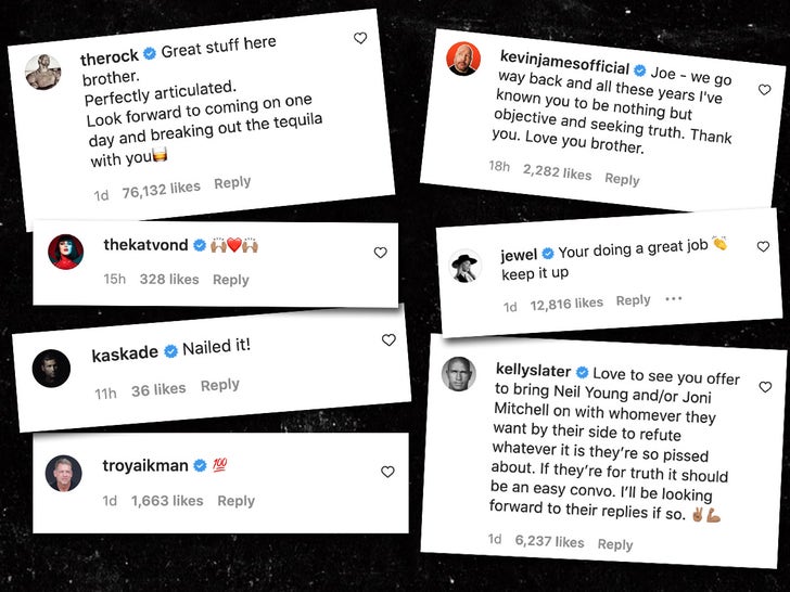Stars Show Support In Joe Rogan's Comment Section