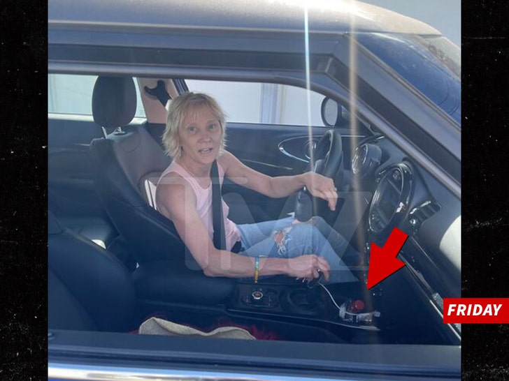 Anne Heche Investigated for DUI, Cops Get Warrant for Blood Sample.jpg