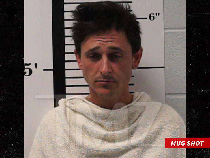 Mitchel Musso mug shot-