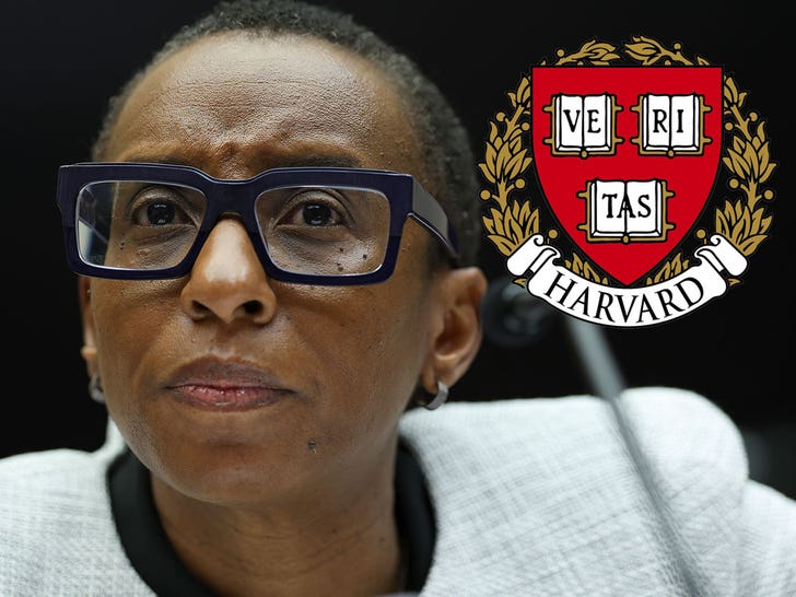 Claudine Gay Harvard
